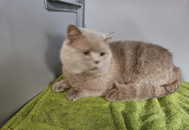 6765