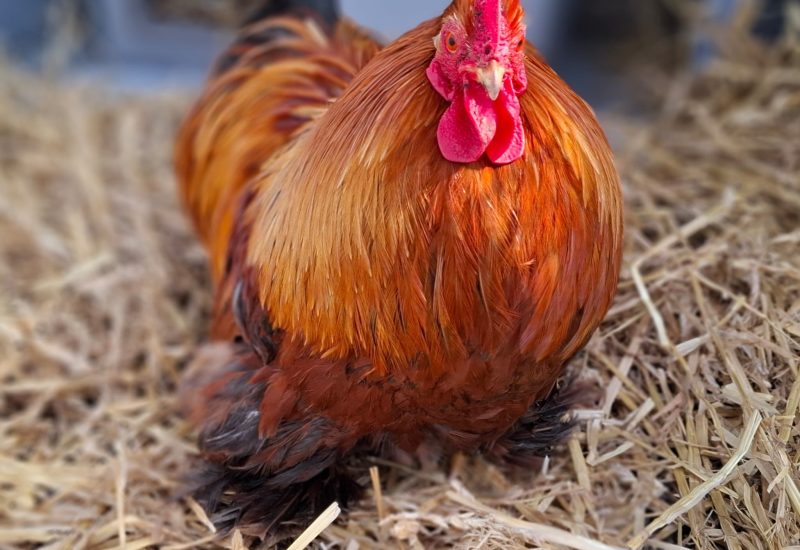 6771