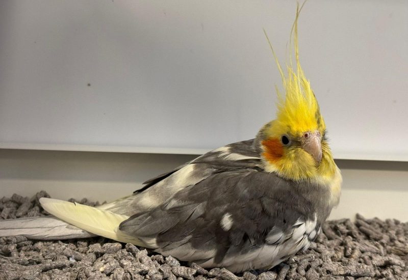 6857