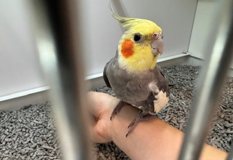 7189