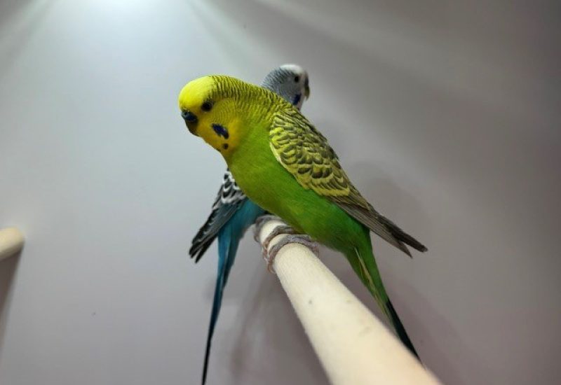 7190