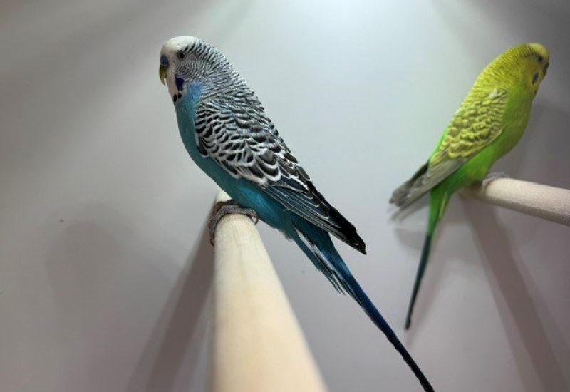 7191
