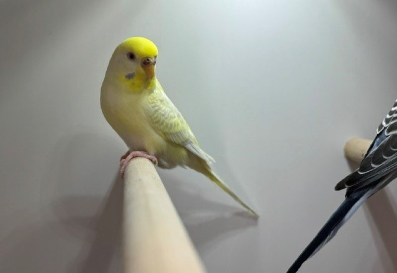7301