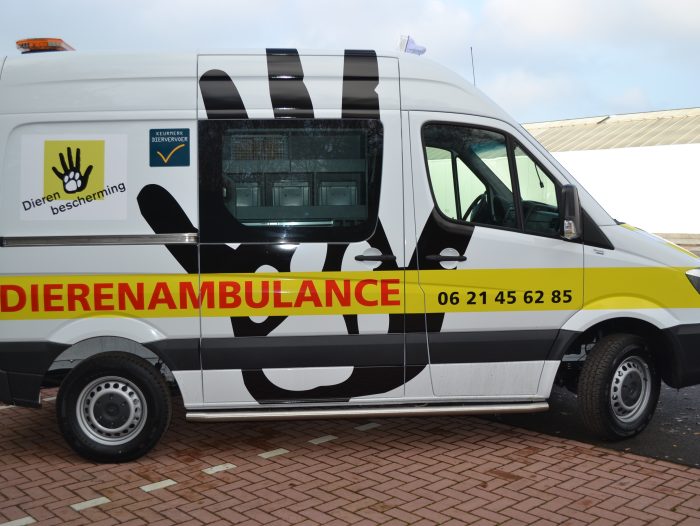 Dierenbescherming