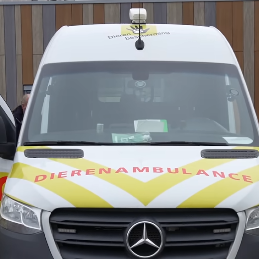 Politievlogger Jan Willem mee met de Dierenambulance Zuid Holland Zuid 0 20 screenshot
