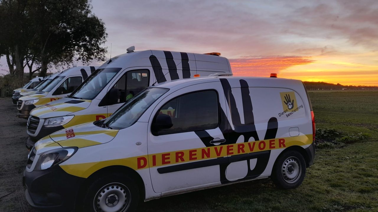 Dierenambulance neemt intrek in nieuw pand