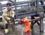 Dierenambulance zhz poes minoes onder brug waadpak 440