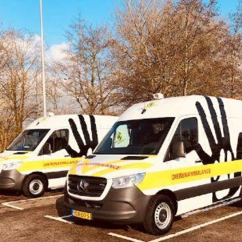 Ambulances2
