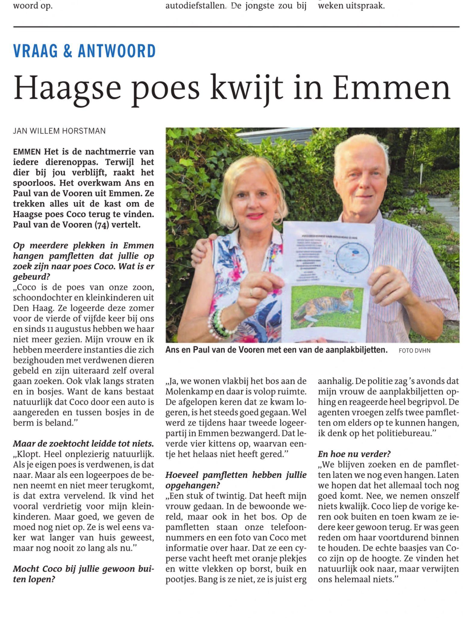 Kat vermist in de krant