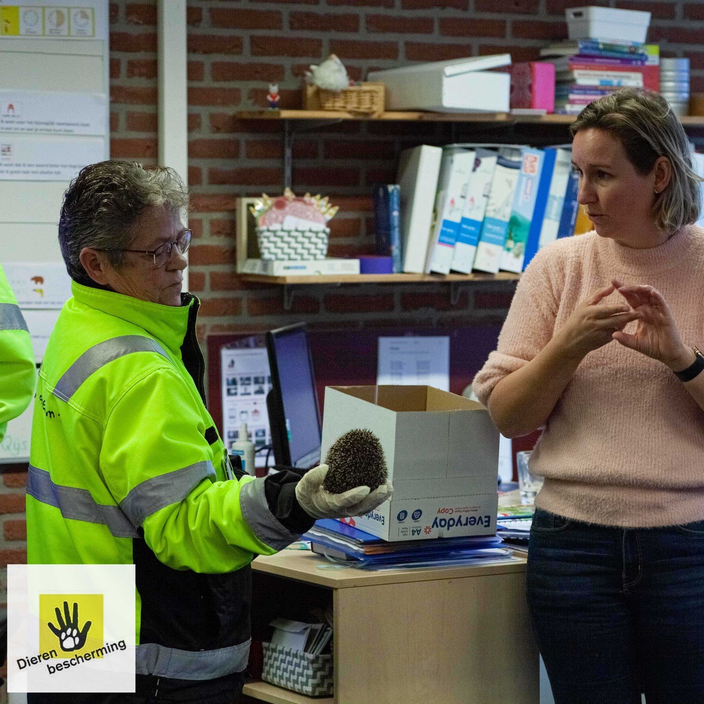 Uitleg op school over de egel