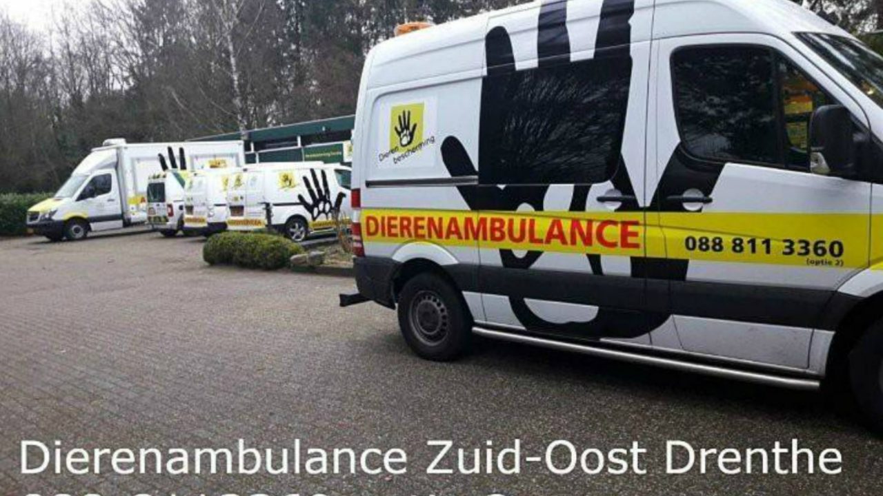 Dierenambulance Zuid-Oost Drenthe zoekt nieuwe vrijwilligers!