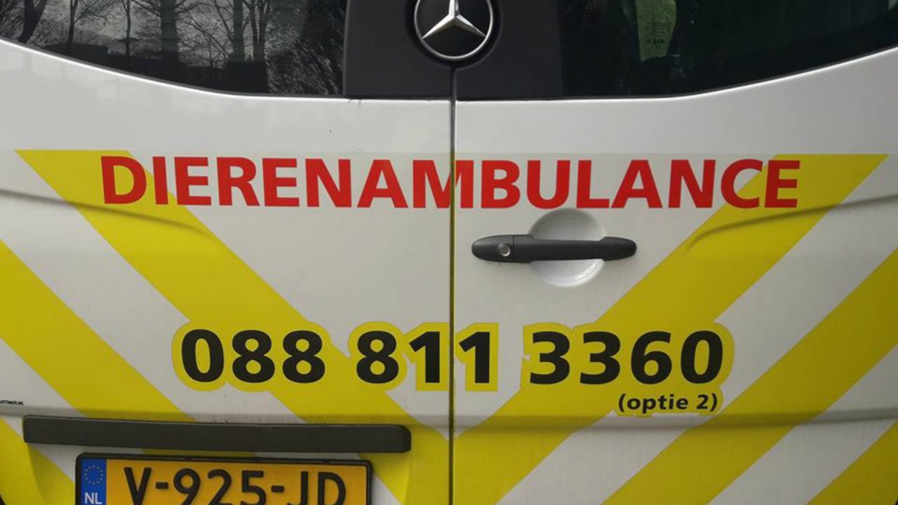 Dierenambulance Zuidoost Drenthe