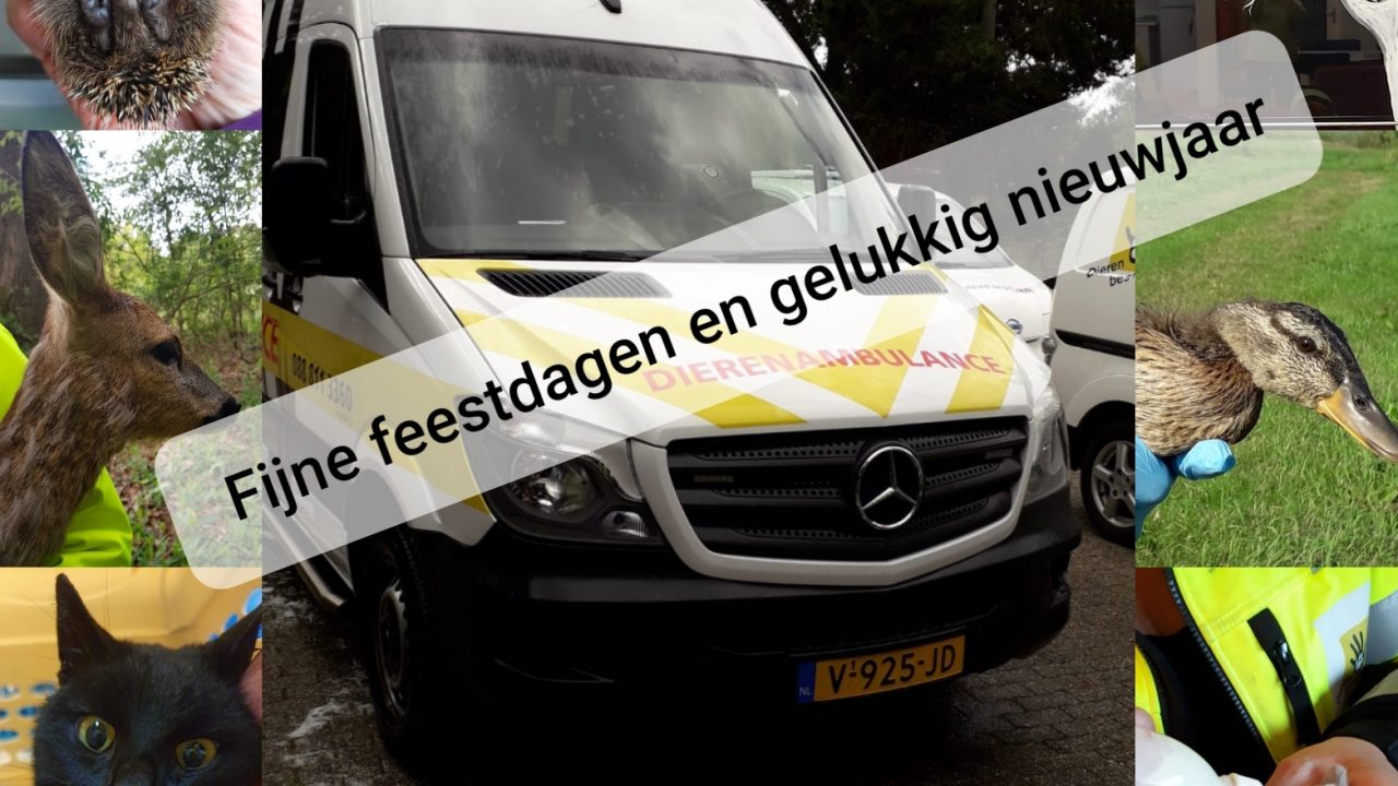 Update crowdfunding