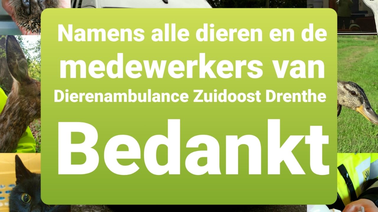 Eindstand crowdfunding