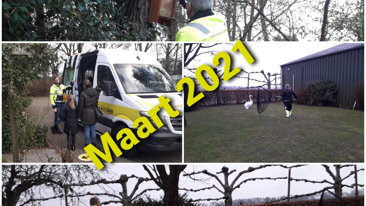 Ook tijdens de paasdagen is de Dierenambulance Zuid Oost Drenthe bereikbaar 088 811 3360 (optie 2)