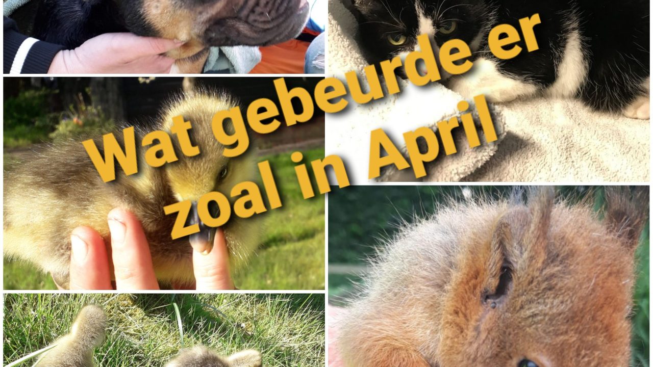 Overzicht April