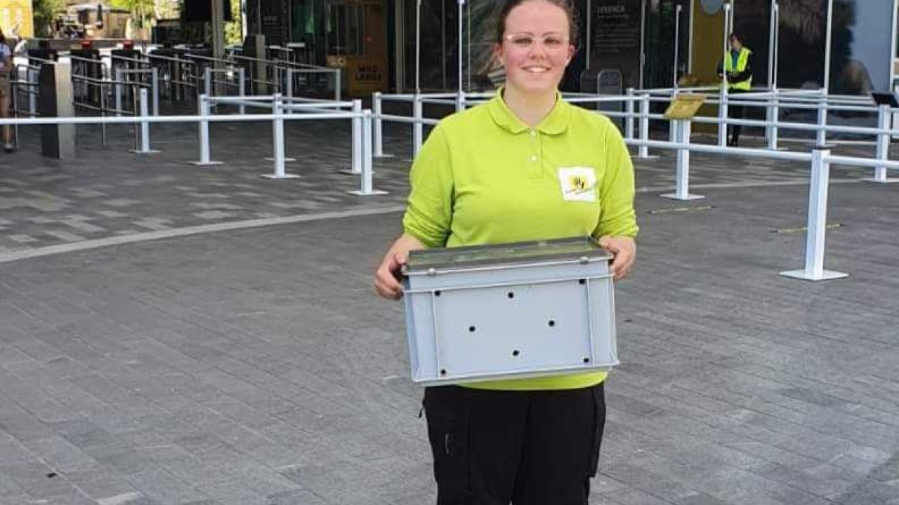 Prairiehond uit dierenpark Wildlands op avontuur