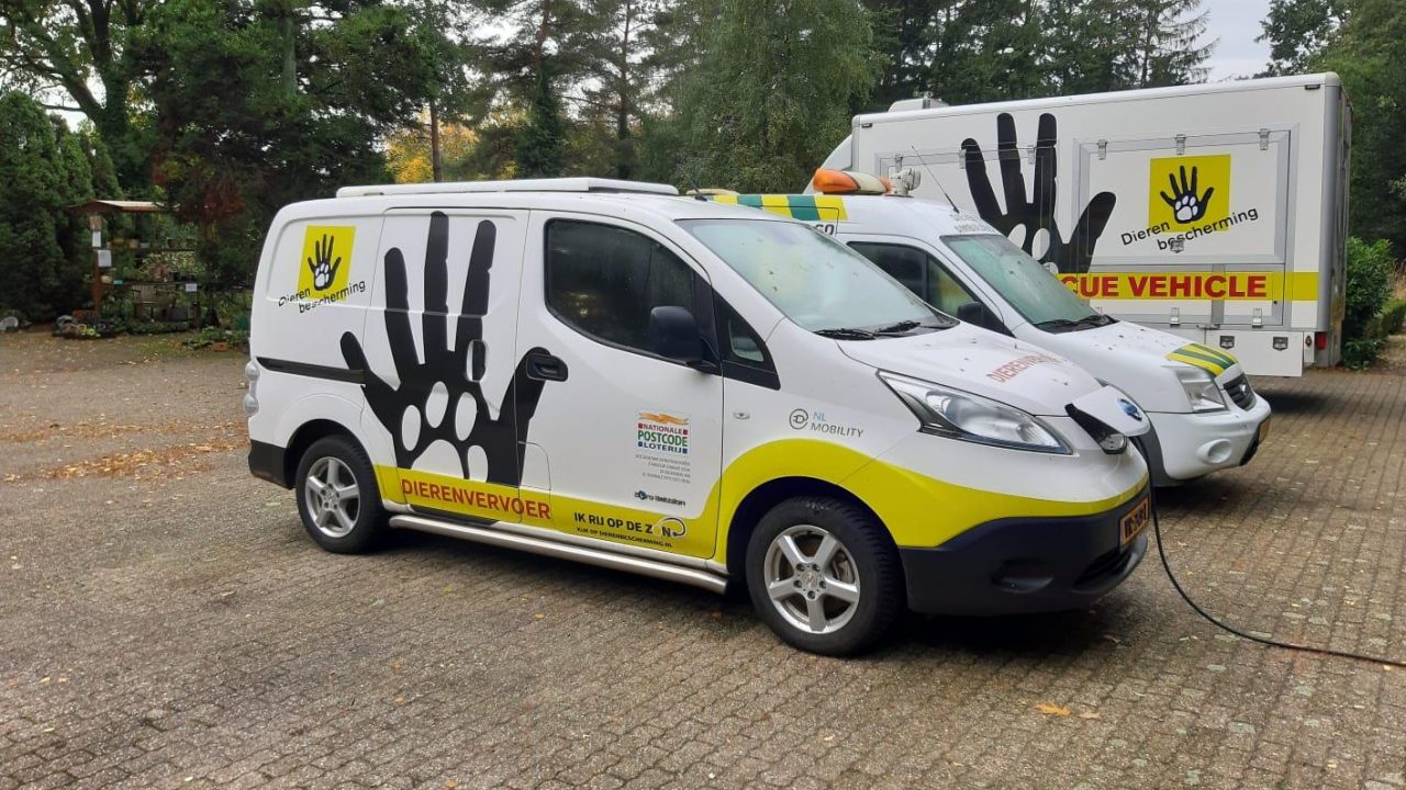 Groot ? Hoezo ?