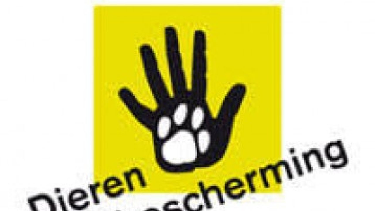Overstekend wild