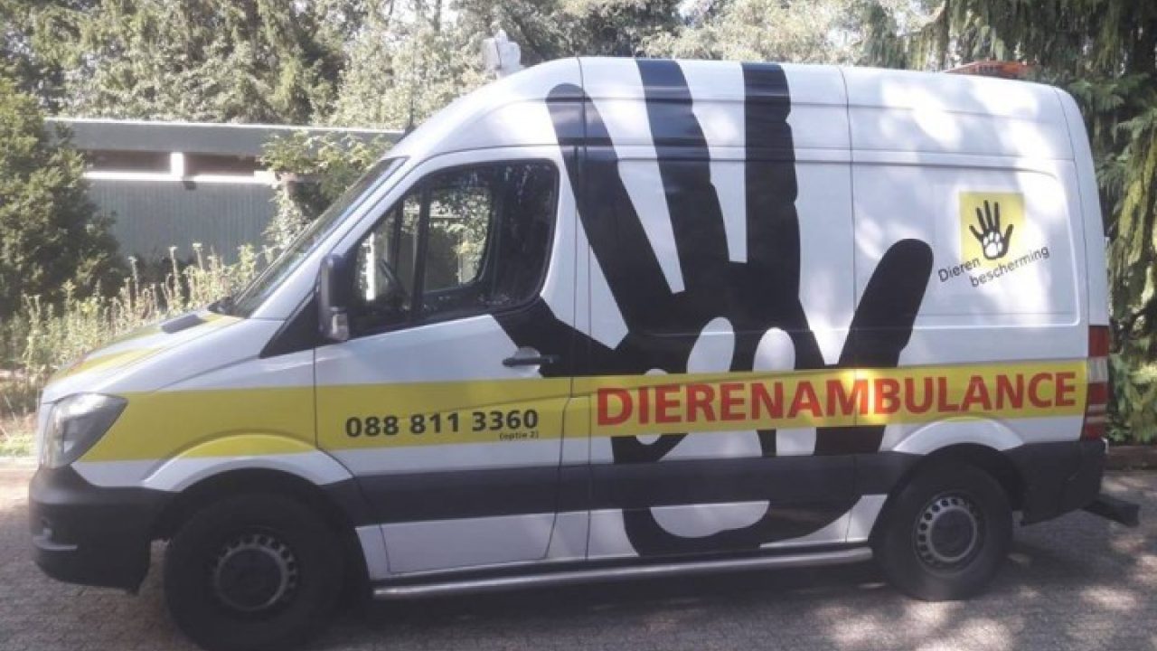 Hoe werken wij nu precies?