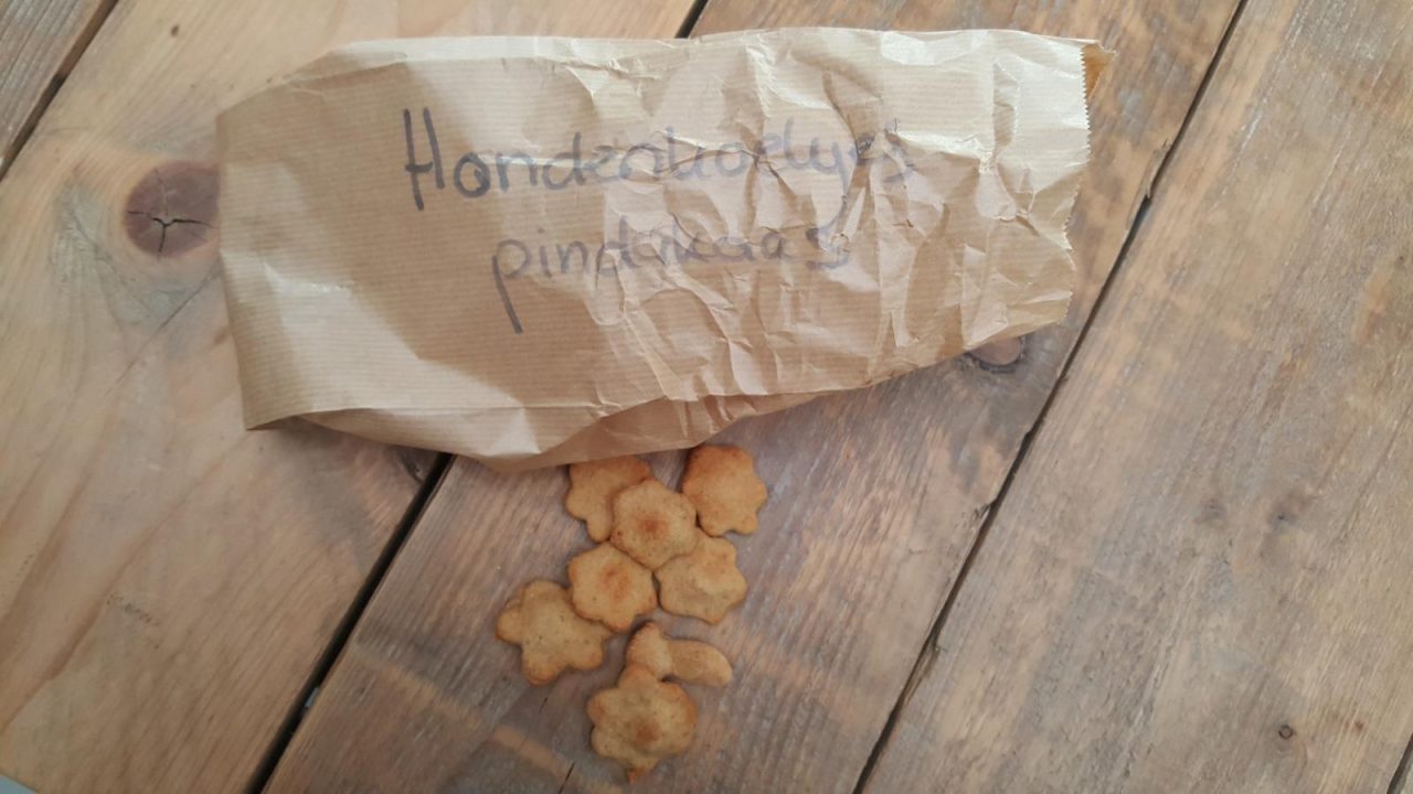 Bewoners zorgcentrum Emmen bakken hondenkoekjes