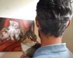 Haagse kat Coco in Drenthe