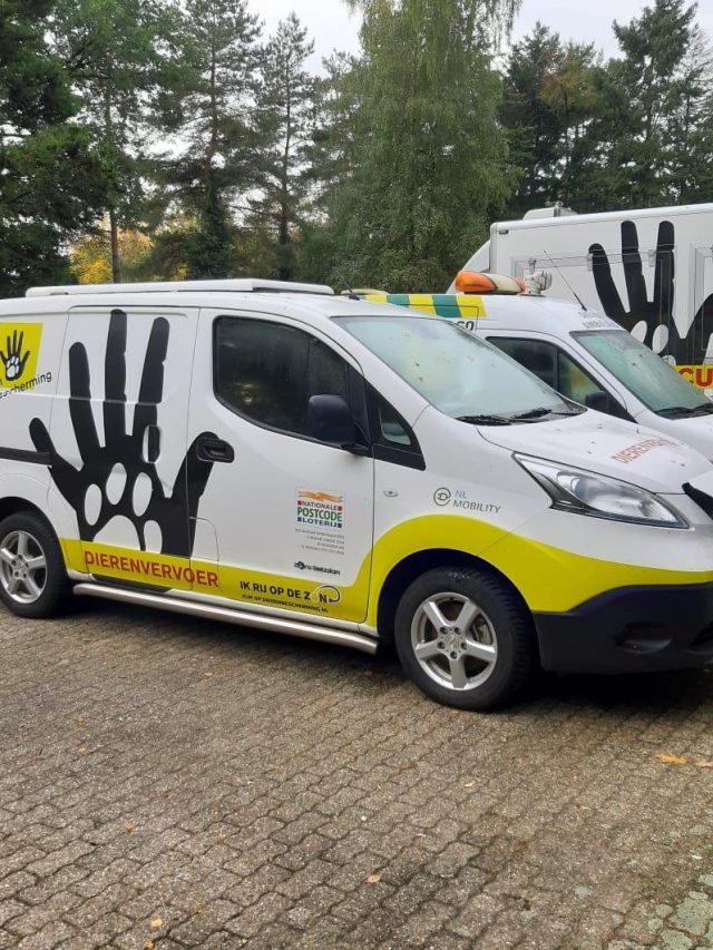 Dierenambulance Zuid Oost Drenthe