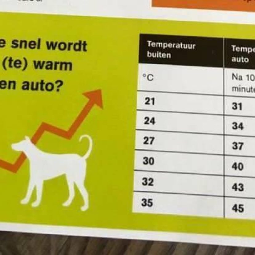 Nieuwsbericht2april2