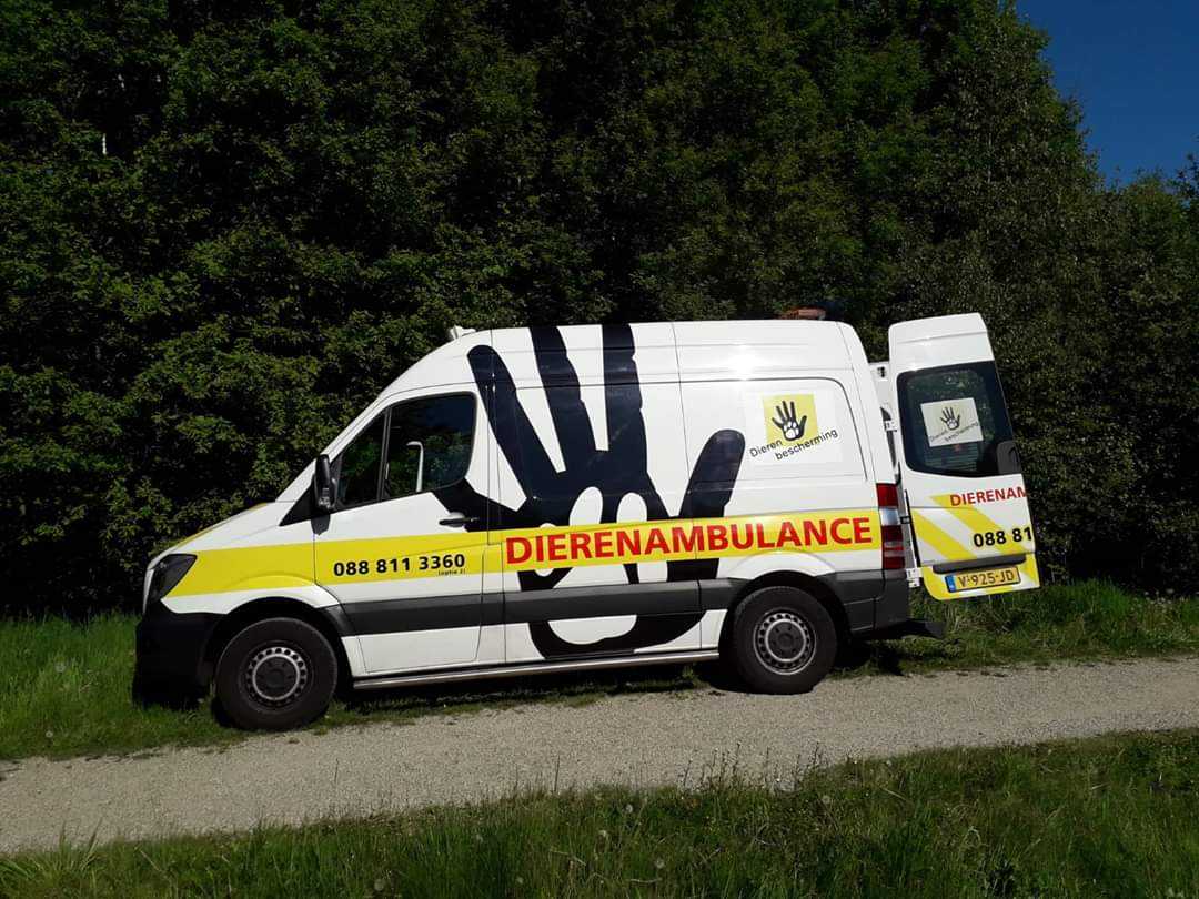 Dierenambulance Emmen Coevorden