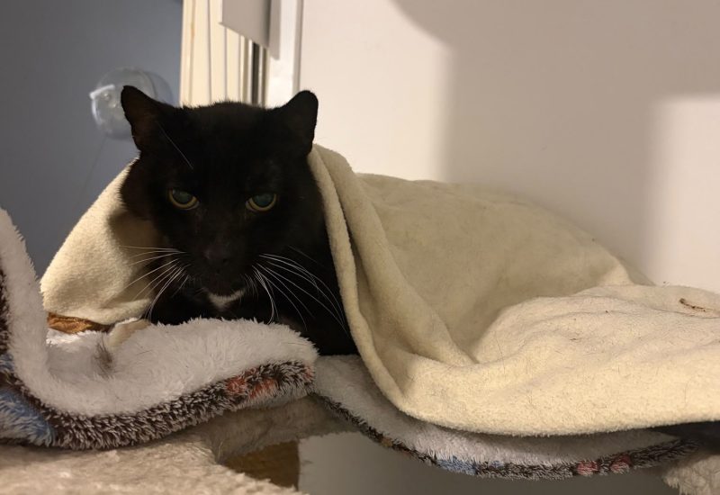 IMG 20261014 WA0009