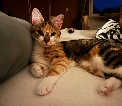 Mimi