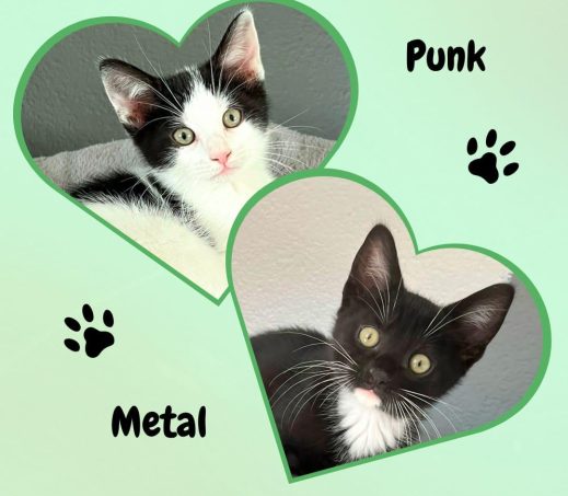 Punk en Metal